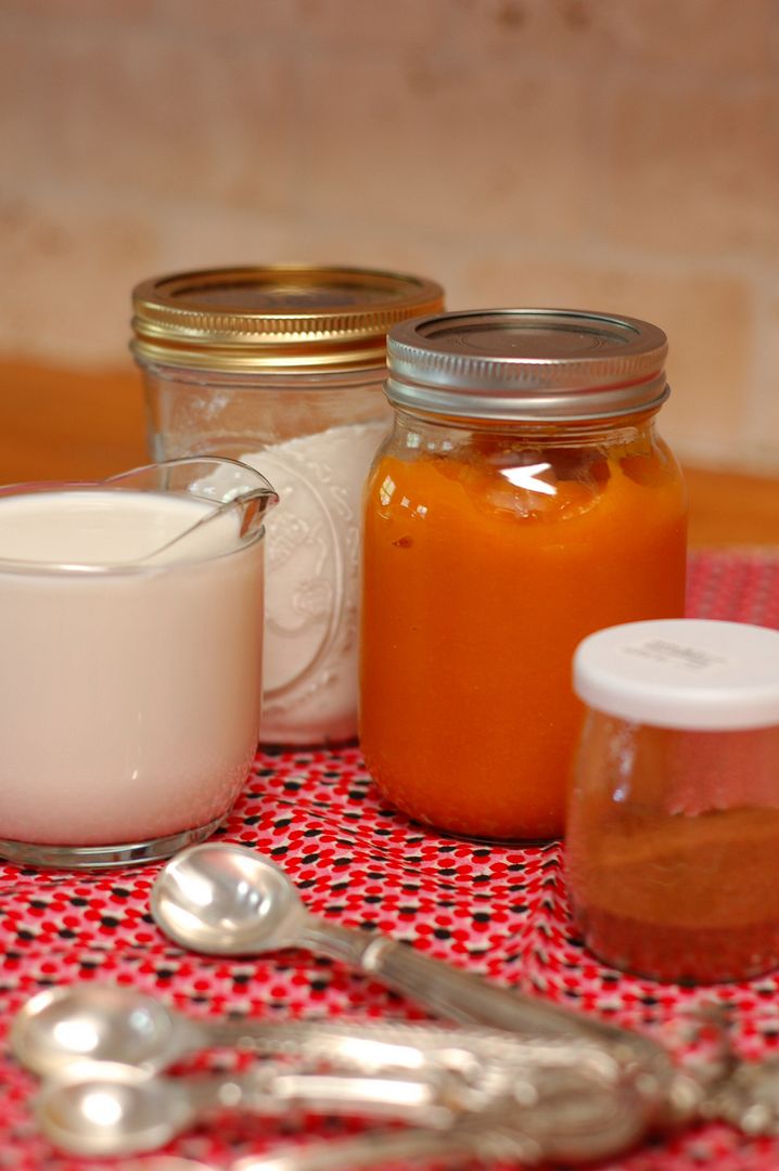 bake-somebody-happy-megan-s-pumpkin-is-thicker-than-water-pumpkin